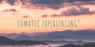 Somatic Experiencing Trauma Therapy Dublin 2