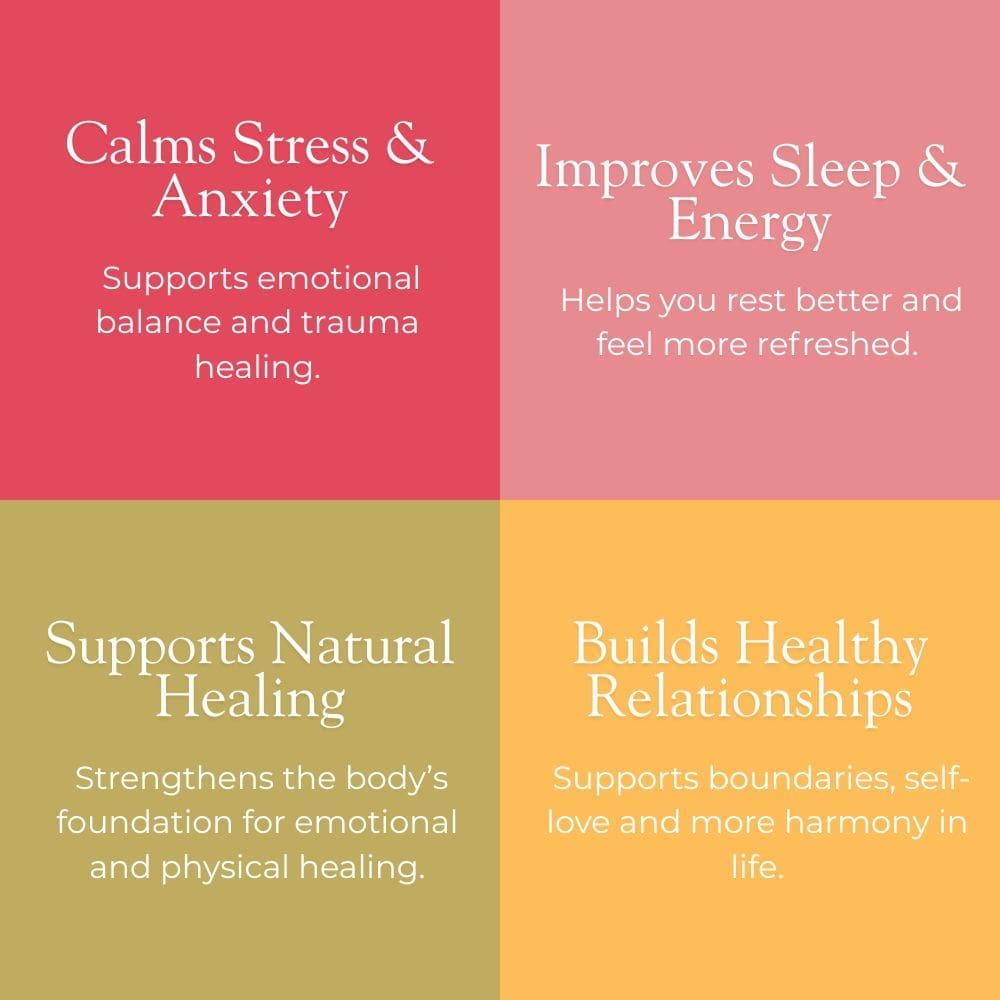 Nervous System Regulation Benefits at The Dublin Wellbeing Centre Dublin 2